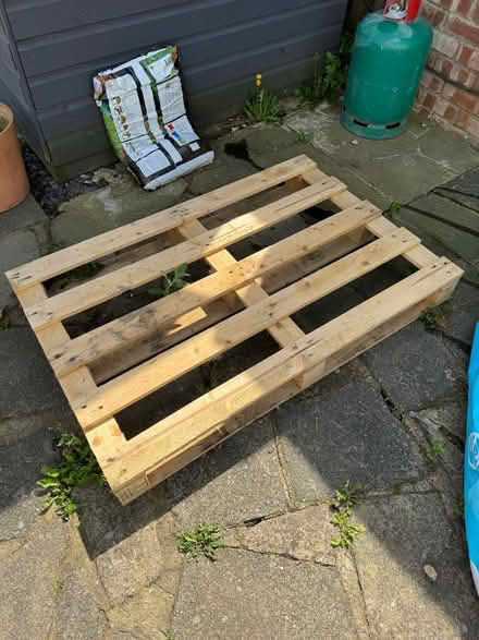 Photo of free Pallet (DA7) #1