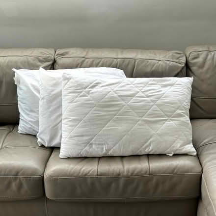 Photo of free Three standard size pillows (Chelsea SW3) #1