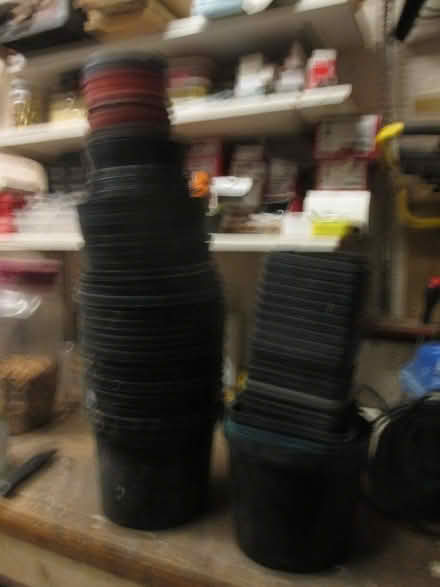 Photo of free Flowerpots (Woodley RG6) #1