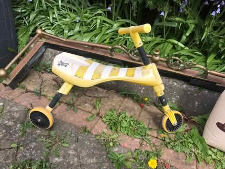 Photo of free Scuttle bug (Malvern WR14) #1