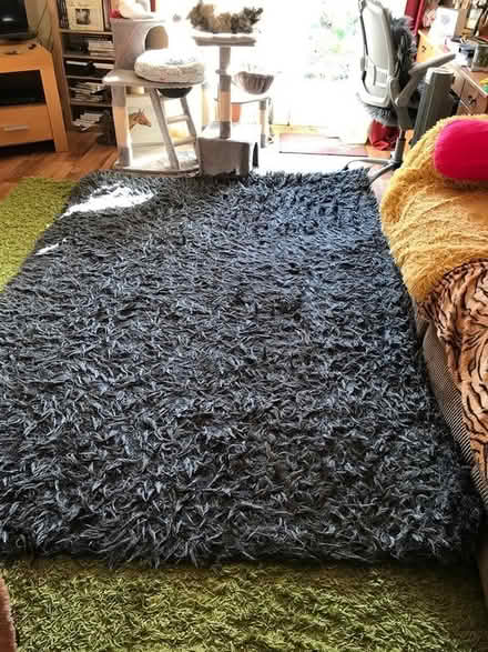 Photo of free Rug (Edinburgh EH16) #1