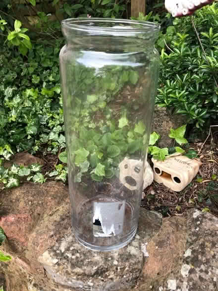 Photo of free Glass vase (Broadclyst) #1