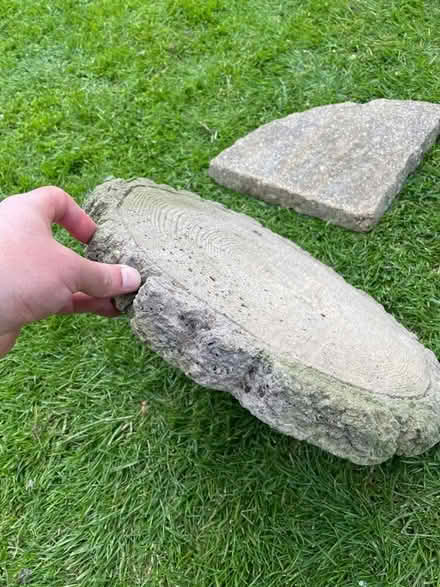 Photo of free Tree concrete stepping stones (Brickhill, Bedford) #3