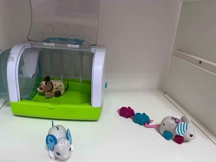 Photo of free Little live pets (Fetcham) #4