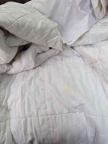 Photo of free Quilt + attached waterproof sheet (Oxford OX2) #1