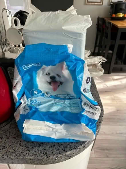 Photo of free Puppy pads (Droitwich WR9) #1