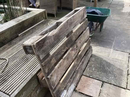 Photo of free Wooden pallet (Southwater) #1