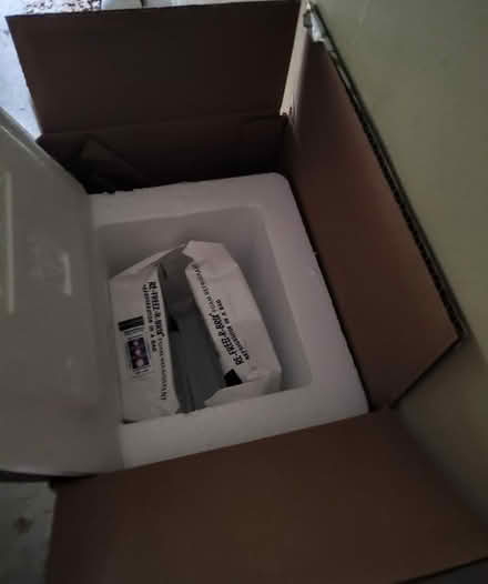 Photo of free Foam cold pack mailing cartons (Emerson) #1