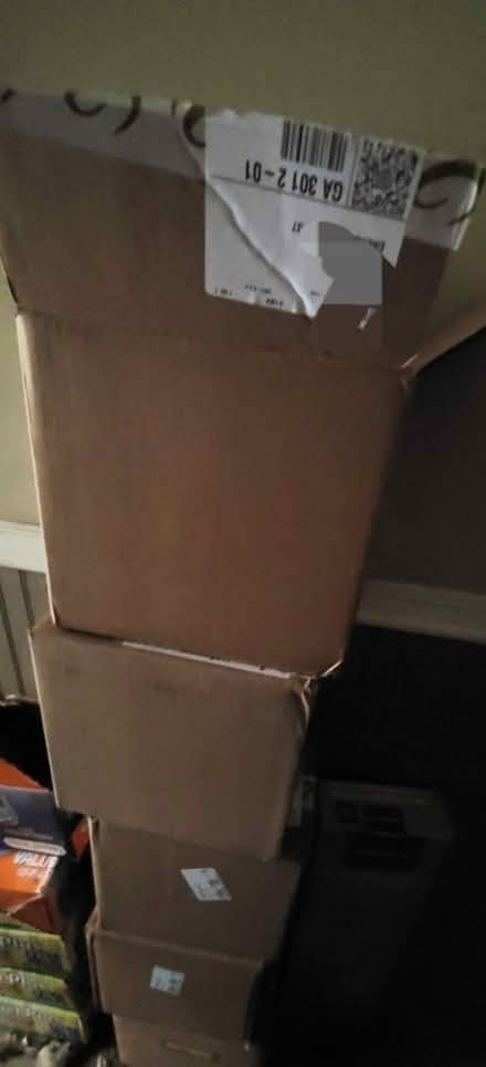 Photo of free Foam cold pack mailing cartons (Emerson) #2