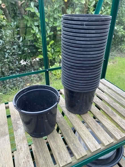 Photo of free 25 x 7-inch plastic plant pots (Central Fordingbridge (SP6)) #1