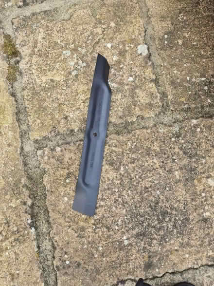 Photo of free Flymo electric mower (Stamford PE9) #3