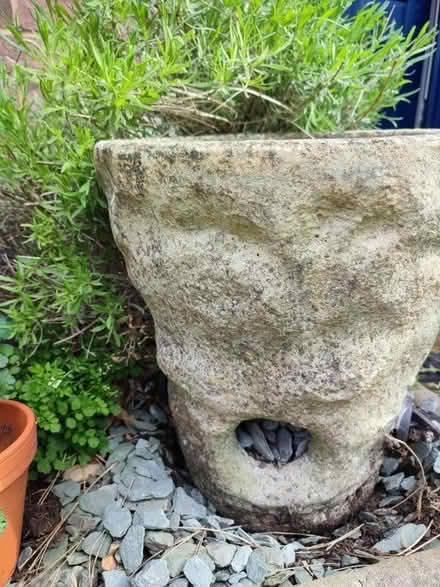 Photo of free Garden stone pot (WD23 Bushey) #2