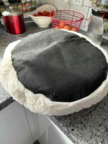 Photo of free Soft white cat bed - small (Droitwich WR9) #2