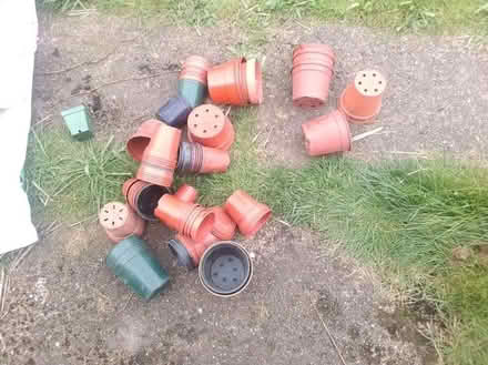 Photo of free Selection of plastic plantpots (Heanor DE75) #1