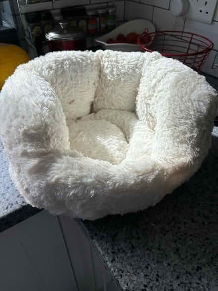 Photo of free Soft white cat bed - small (Droitwich WR9) #1