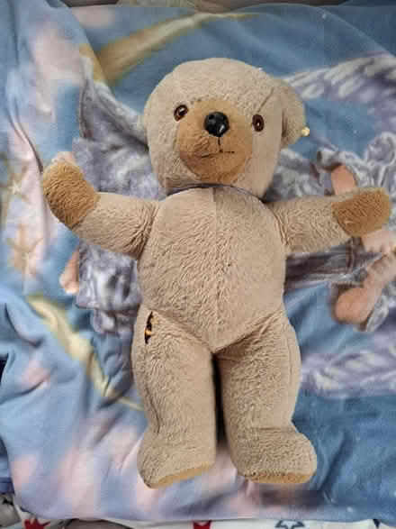 Photo of free Bear in need of repair (Colchester CO4) #1