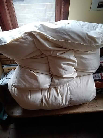 Photo of free Large feather cushions (Greenhill S8) #1