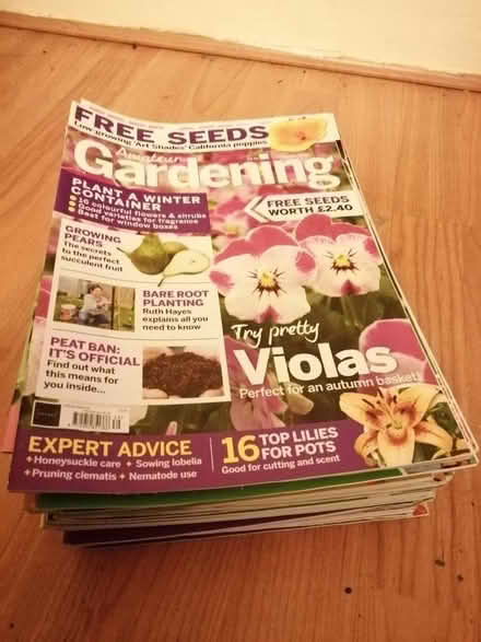 Photo of free Amateur gardening (Alvaston DE24) #1