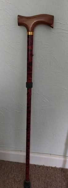 Photo of free Wooden handle walking stick (Cosham) #1