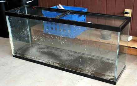 Photo of free 55 gal. aquarium (Sherwood) #1