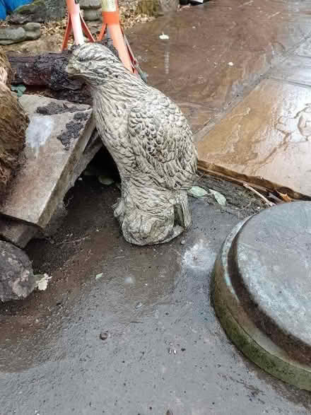 Photo of free Concrete bird garden ornament (Colwyn Bay LL29) #1