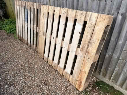 Photo of free Wooden palettes (Elmers End BR3) #3