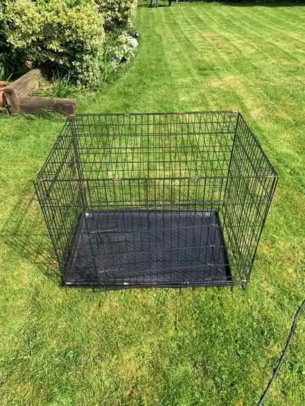 Photo of free Large Dog cage (Eastcote HA5) #1