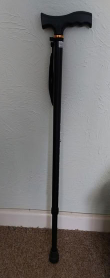 Photo of free Walking stick (Cosham) #1