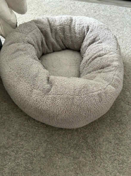 Photo of free Cat/dog bed (North Hollywood) #1