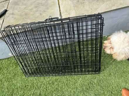 Photo of free Medium Dog Crate (KT5) #1