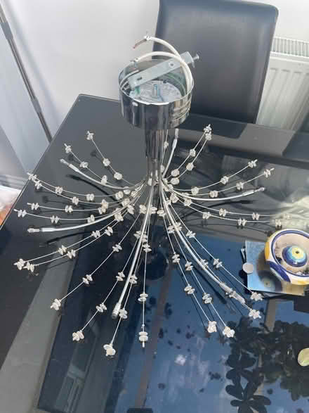 Photo of free Ceiling light (PR8 woodvale) #1