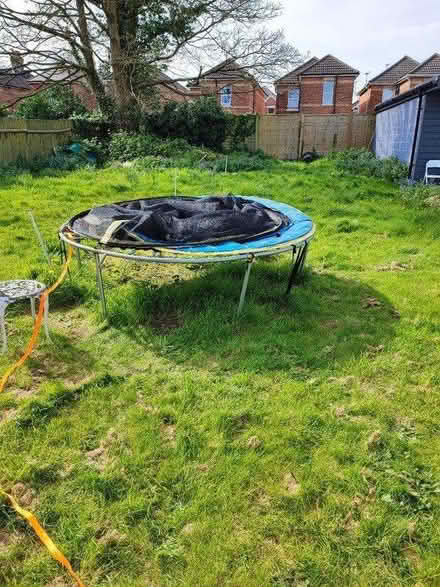 Photo of free Trampoline (BH9) #3