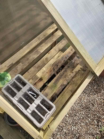 Photo of free Mini greenhouse (Chorleywood, WD3) #2