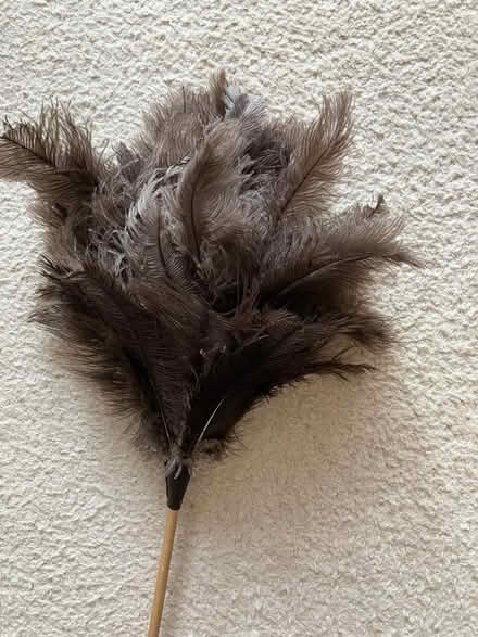 Photo of free Ostrich Feather Duster (New Malden KT3) #1