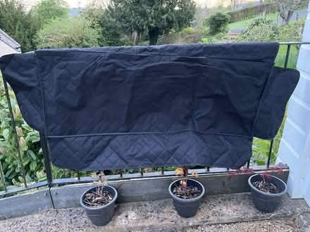 Photo of free Rear car seat cover (2 seats) (Entry Hill BA2) #1