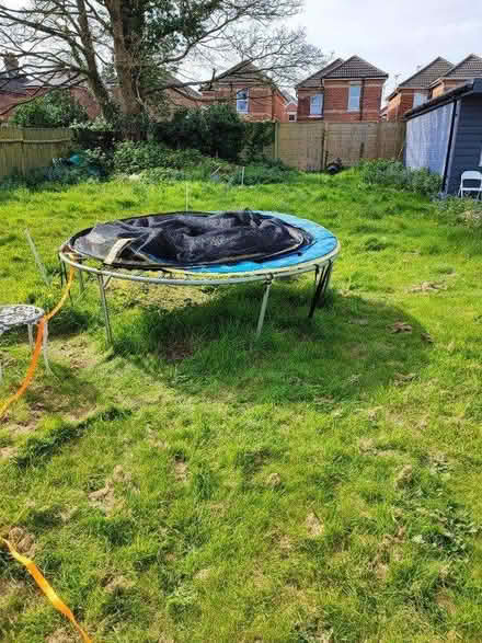 Photo of free Trampoline (BH9) #2