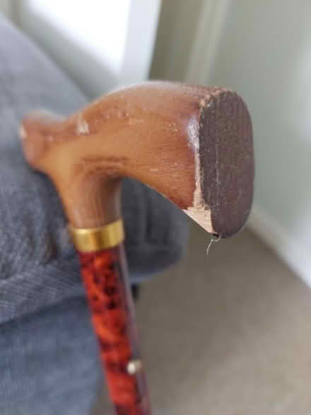 Photo of free Wooden handle walking stick (Cosham) #4