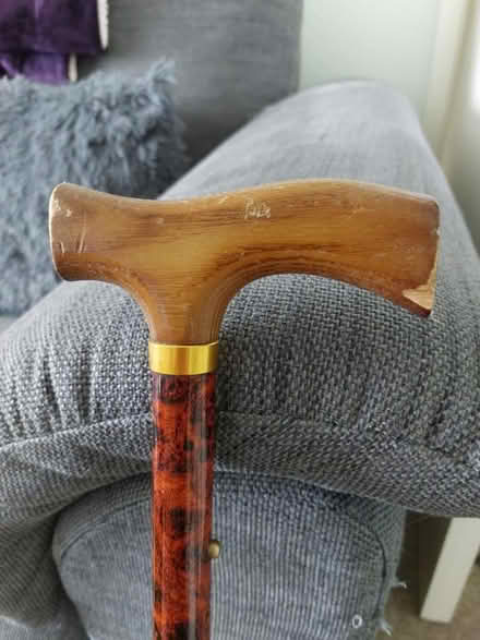 Photo of free Wooden handle walking stick (Cosham) #3