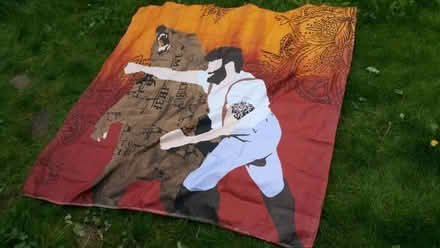 Photo of free Novelty shower curtain (NW11) #1