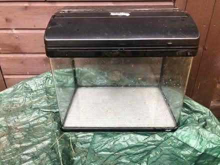 Photo of free Fish tank/terrarium (Broadclyst) #3