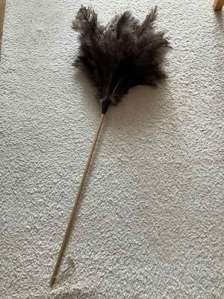 Photo of free Ostrich Feather Duster (New Malden KT3) #2