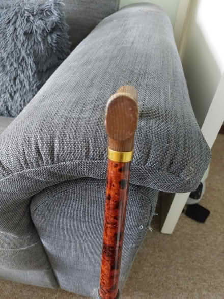 Photo of free Wooden handle walking stick (Cosham) #2