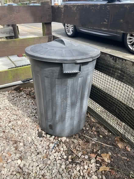 Photo of free Dustbin (Putney SW15) #1