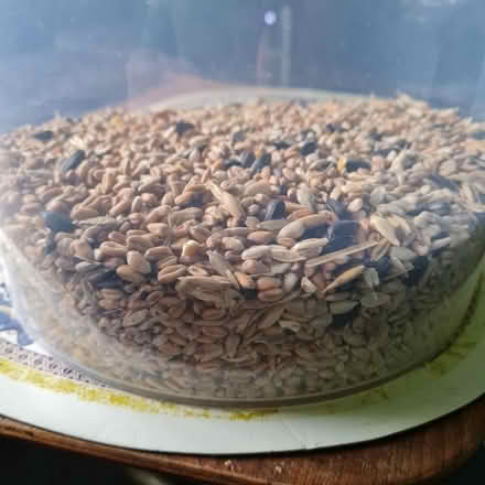 Photo of free Bird seed (Newport Pagnell MK16) #1