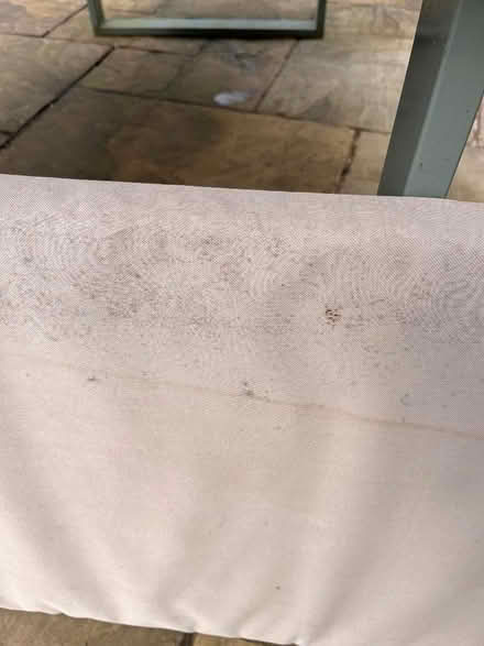 Photo of free Foam Seat pad with water resistant cover (Clifton CA10) #2