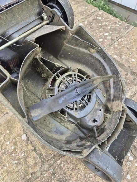 Photo of free Flymo electric mower (Stamford PE9) #2