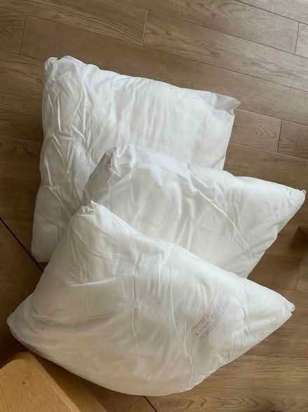 Photo of free Cushions - no covers (Ware SG12) #1