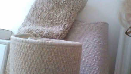 Photo of free rug + very small runner, mats (Winkfield Row RG42) #1