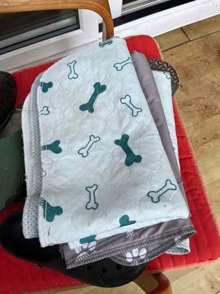 Photo of free Dog toilet training mats (Upper Beeding) #1