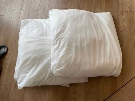 Photo of free Cushions - no covers (Ware SG12) #2